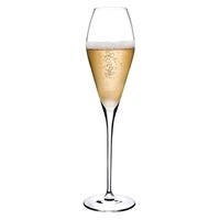 FANTASY Čaše champagne